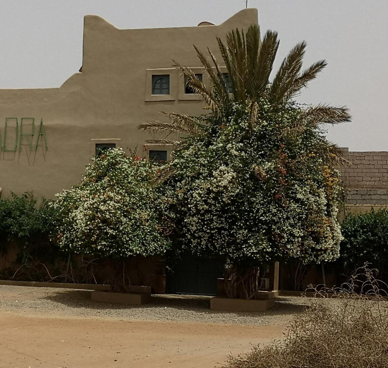 Riad Ain Khadra Taroudant Esterno foto